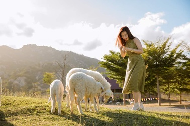 Giảm giá để kích cầu du lịch nội địa hậu Covid-19