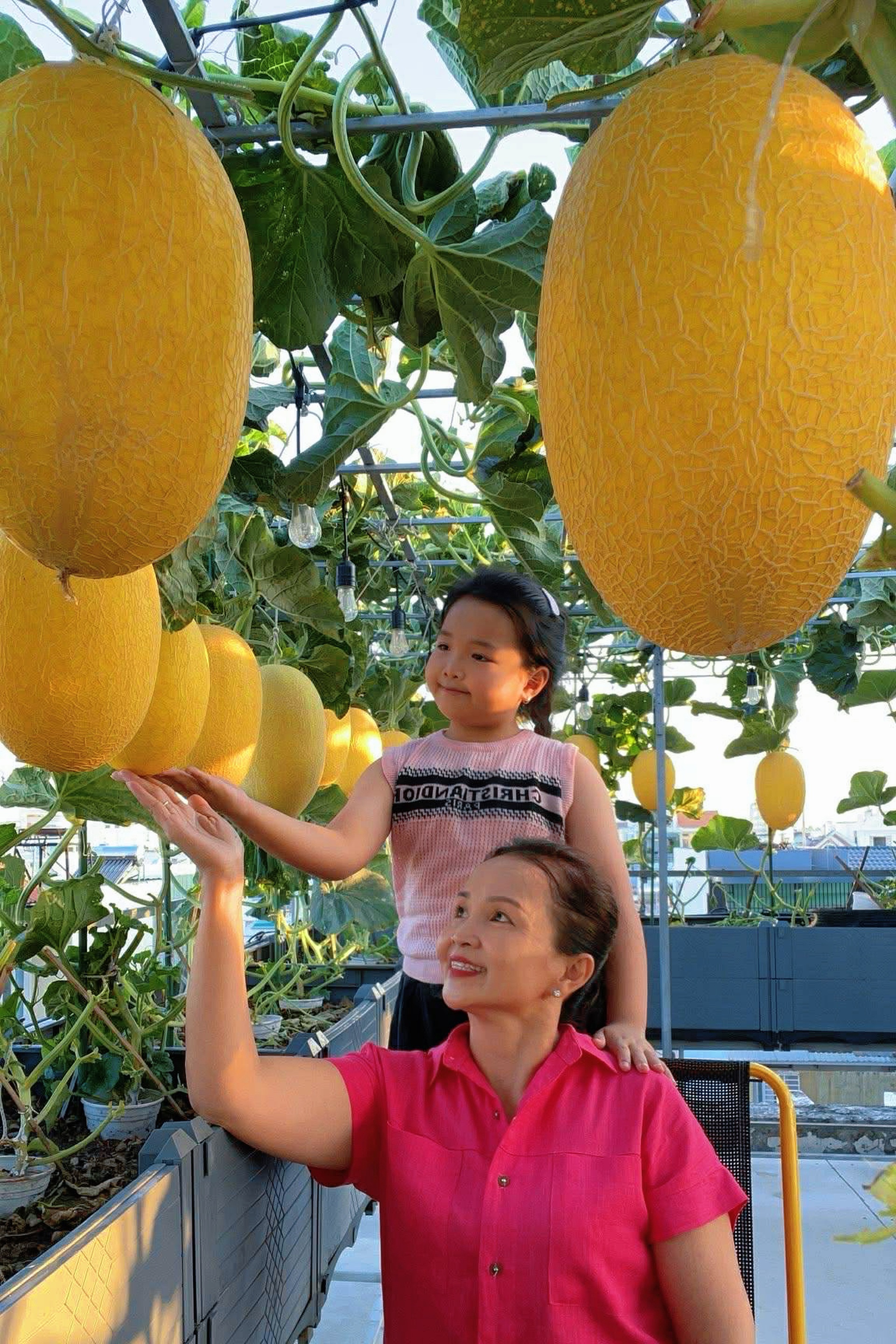 Mẹ đảm ở TPHCM biến sân thượng 100m² thành vườn bí đỏ rực như phim Mỹ - 1