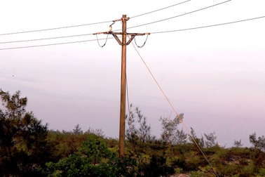 Trèo lên trụ điện bắt chim, người đàn ông bị điện giật tử vong