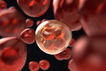 Bắt đầu tiêm virus diệt ung thư trên người: Hy vọng mới hay "hão huyền"?