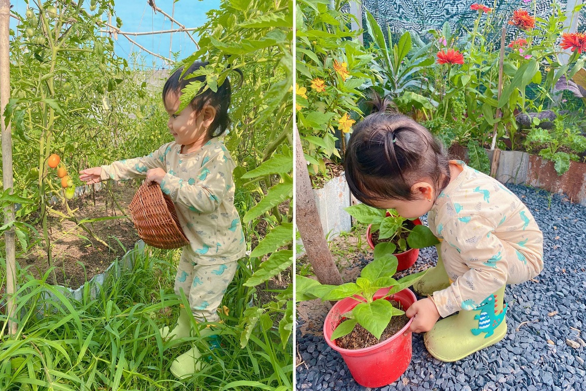 Vườn đẹp như tranh, trồng hàng trăm giống rau trái của mẹ đảm ở Củ Chi - 6 Vườn đẹp như tranh, trồng hàng trăm giống rau trái của mẹ đảm ở Củ Chi - 6