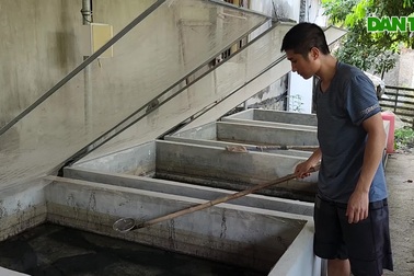 Nuôi loài côn trùng "sống dưới nước đẻ trên bờ", 9X liên tục "cháy hàng"