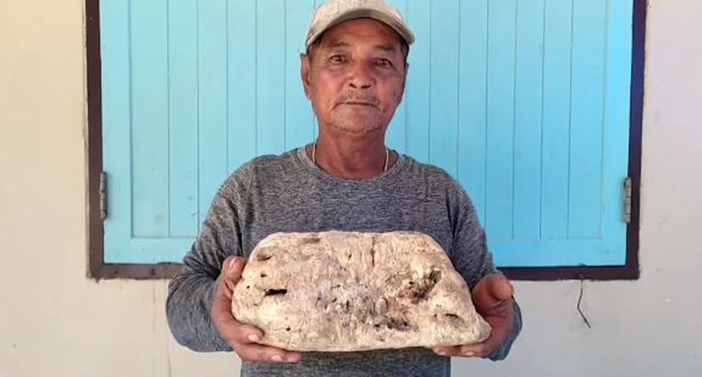 Đi dạo ở bãi biển, người đàn ông nhặt được Đi dạo ở bãi biển, người đàn ông nhặt được