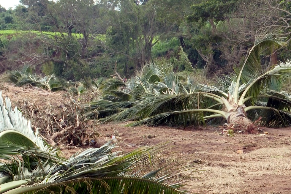 Tan hoang sau vụ vỡ tường đập thủy điện - 9 Tan hoang sau vụ vỡ tường đập thủy điện - 9