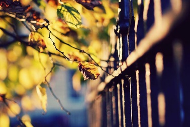 Thu trong lòng mình