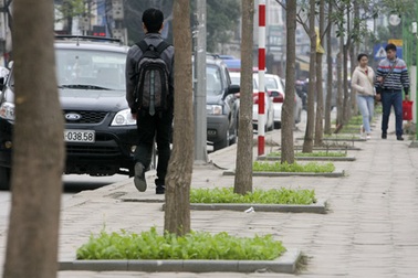 Phố rau sạch giữa Hà Nội