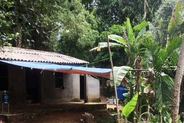 Nghi án anh đập thanh gỗ vào đầu khiến em trai tử vong