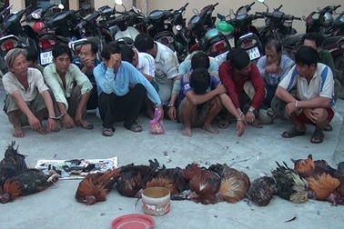 17 đối tượng tham gia đá gà ăn tiền tại vùng biên giới bị bắt