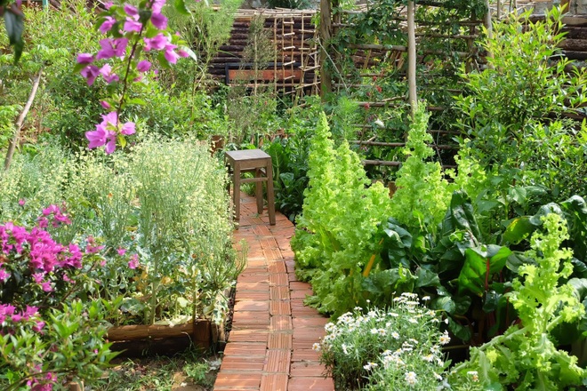 Cuộc sống bình dị vạn người mơ của cô gái làm nhà gỗ, trồng rau ở Đà Lạt - 3