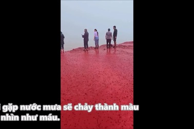 Bãi biển biến thành màu đỏ tươi như máu trong cơn mưa