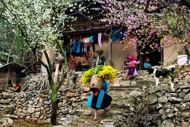 Tây Bắc vào xuân đẹp lung linh như cô gái tuổi trăng rằm