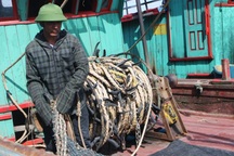 Chê cảng cá kém hiệu quả, ngư dân "trốn" nộp phí?