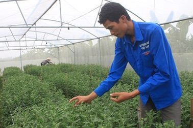 Bỏ cơ hội làm việc ở nước ngoài, về quê làm nông nghiệp