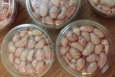 Thần dược "kê chim": Dân Hà thành không tiếc tiền tẩm bổ