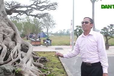 Cặp sanh cổ “Trực quân tử” gần 200 năm tuổi, có tiền chưa chắc mua được