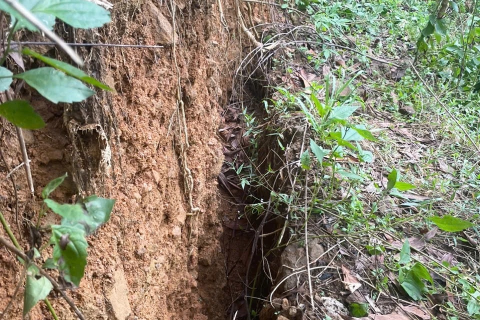 Quang Ngai: 60 metre uzunluğundaki dağ çatlağı anaokulunu ve birçok evi tehdit ediyor - 1 Quảng Ngãi: Núi nứt dài 60m đe dọa trường mầm non, nhiều nhà dân - 1