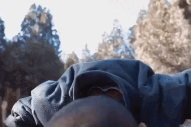 Tiểu hòa thượng Thiếu Lâm Tự 5 tuổi múa võ nổi tiếng khắp mạng xã hội