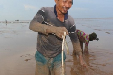 "Cao thủ" Tiền Giang săn cá chình mỡ, mỗi chuyến kiếm 3 triệu đồng