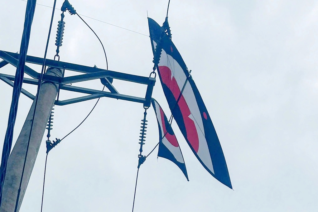 Ba học sinh bị điện giật khi lấy diều mắc trên đường dây 110kV - 1 Ba học sinh bị điện giật khi lấy diều mắc trên đường dây 110kV - 1