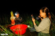 Bỏ phố về quê, cô gái bất ngờ thành "hot" TikToker nhờ quay cỏ dại