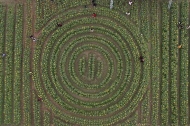 Huyện đầu tiên tại Hà Nội phê duyệt kế hoạch sử dụng đất năm 2025