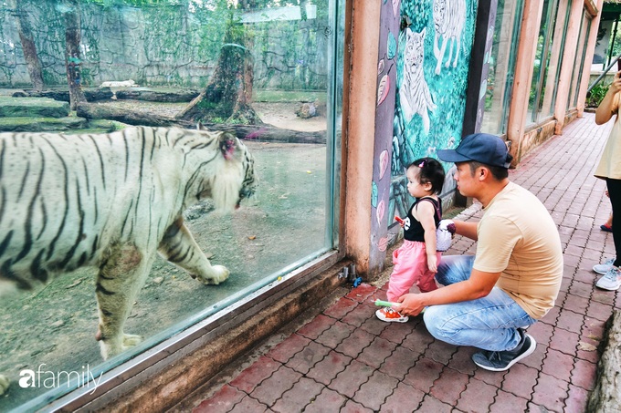Lịch sử hơn 150 năm, nhưng đây là 9 sự thật có thể bạn chưa biết về Thảo Cầm Viên khiến nơi này thú vị và kỳ bí hơn bạn tưởng rất nhiều - Ảnh 8. Lịch sử hơn 150 năm, nhưng đây là 9 sự thật có thể bạn chưa biết về Thảo Cầm Viên khiến nơi này thú vị và kỳ bí hơn bạn tưởng rất nhiều - Ảnh 8.