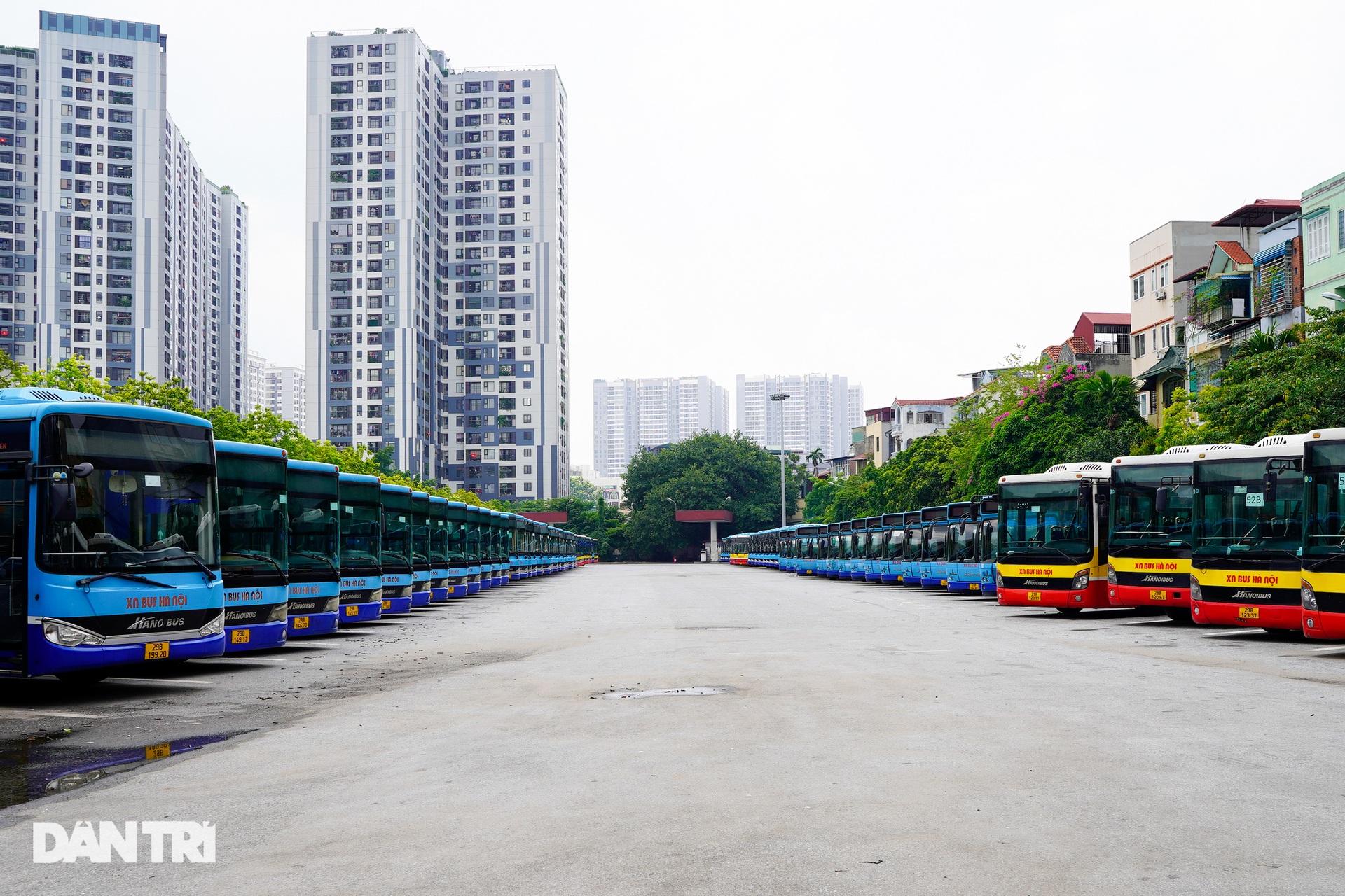 Hà Nội: Hàng nghìn ôtô nằm phơi nắng dầm mưa vì giãn cách xã hội - 2 Hà Nội: Hàng nghìn ôtô nằm phơi nắng dầm mưa vì giãn cách xã hội - 2