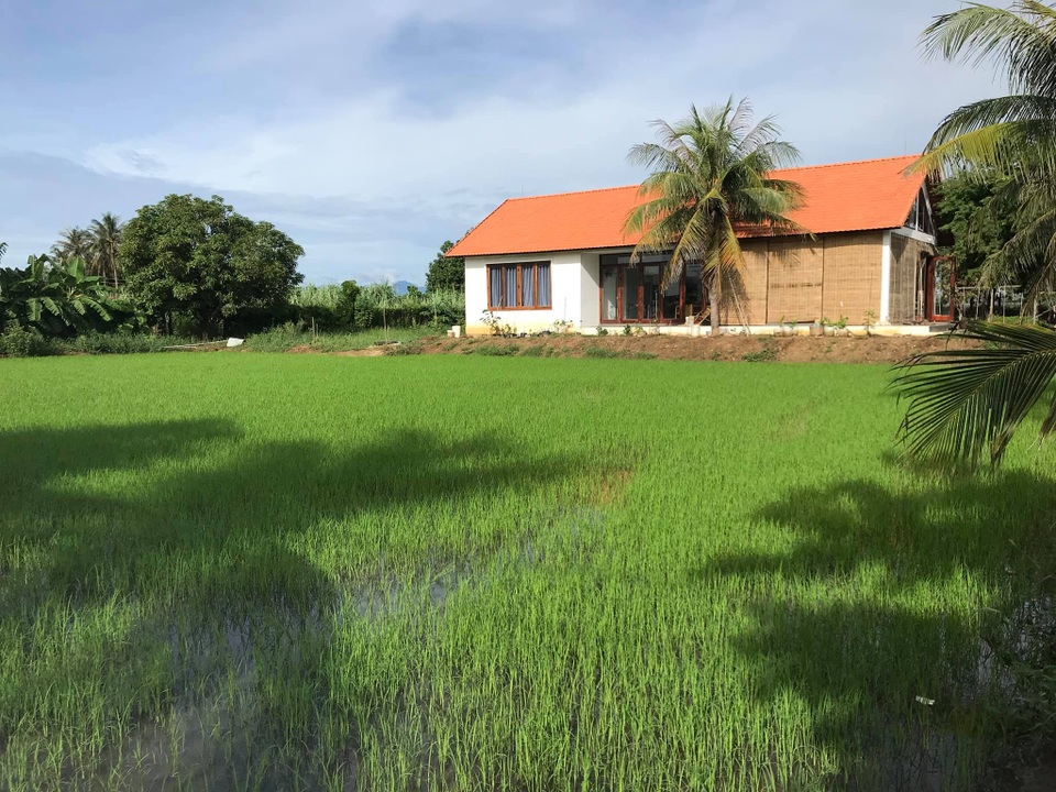 Gia đình Hà Nội về quê làm 5.000m2 ruộng vườn: Những “nỗi khổ” chưa kể - 2 Gia đình Hà Nội về quê làm 5.000m2 ruộng vườn: Những “nỗi khổ” chưa kể - 2