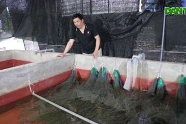 Kỳ tích làm kinh tế của người đàn ông mới học hết phổ thông