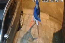 Phóng viên Báo Dân trí bị kẻ xấu ném chất bẩn vào nhà