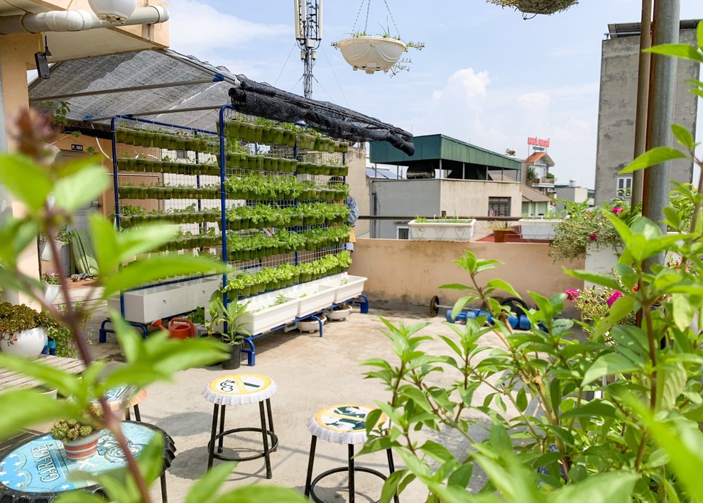 Xóm trọ rủ nhau dùng cốc nhựa, thùng xốp làm khu vườn xinh xắn ở Hà Nội - 1 Xóm trọ rủ nhau dùng cốc nhựa, thùng xốp làm khu vườn xinh xắn ở Hà Nội - 1