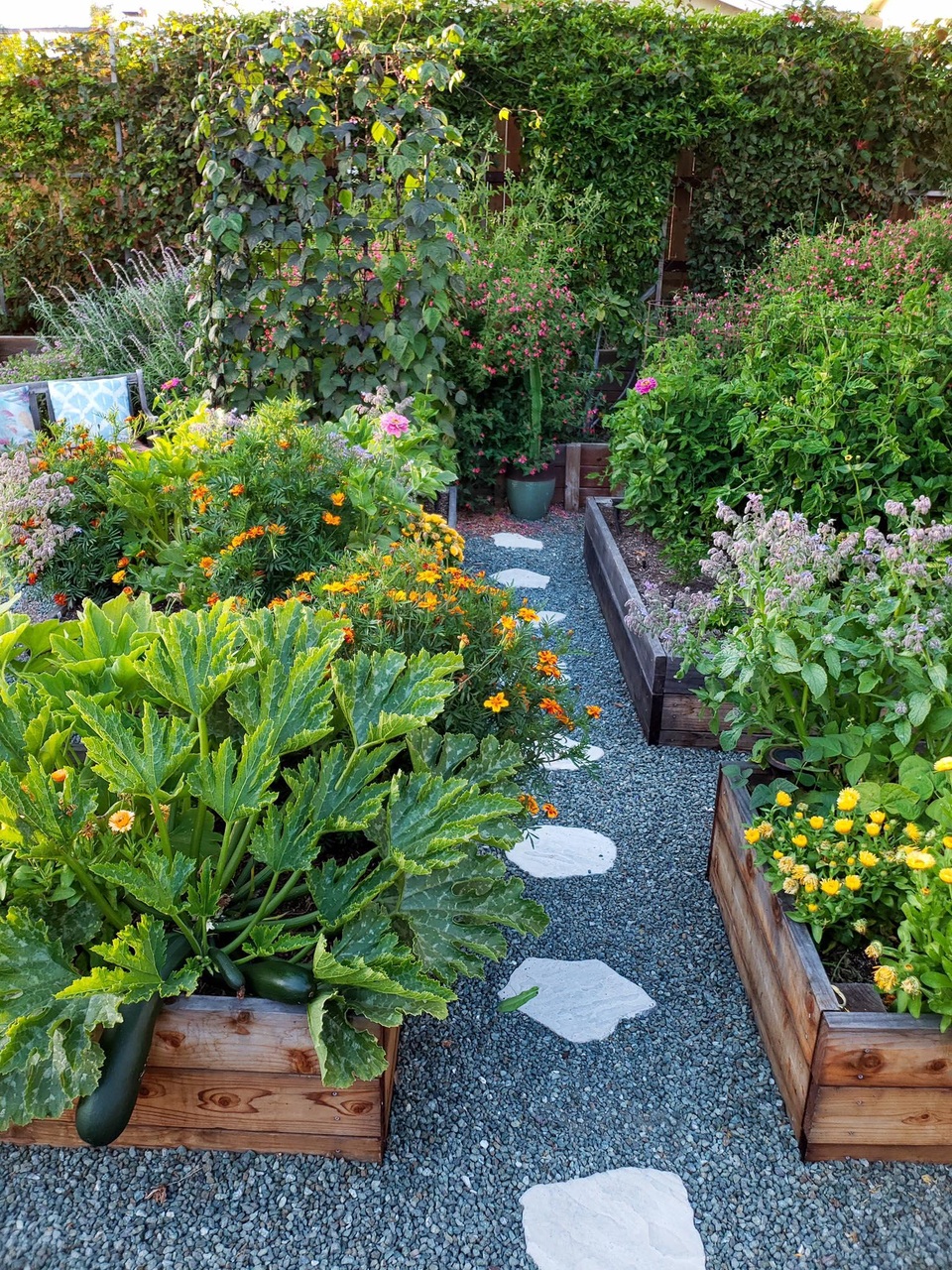 Cuộc sống bình yên trồng rau, nuôi gà đáng mơ ước của đôi vợ chồng trẻ - 4 Cuộc sống bình yên trồng rau, nuôi gà đáng mơ ước của đôi vợ chồng trẻ - 4