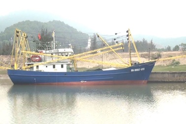 Ngư dân "bội thu" từ chuyến vươn khơi đầu tiên bằng tàu chụp mực, vỏ sắt