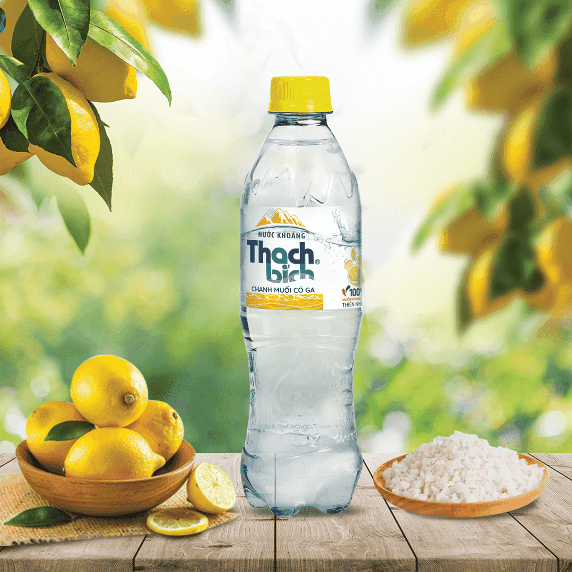 Nước khoáng Thạch Bích chính thức xuất hiện tại miền Bắc - 2 Nước khoáng Thạch Bích chính thức xuất hiện tại miền Bắc - 2
