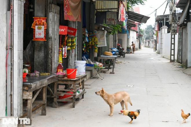Vườn không nhà trống trong khu cách ly có 2 ca mắc Covid-19 ở Hà Nội - 13 Vườn không nhà trống trong khu cách ly có 2 ca mắc Covid-19 ở Hà Nội - 13