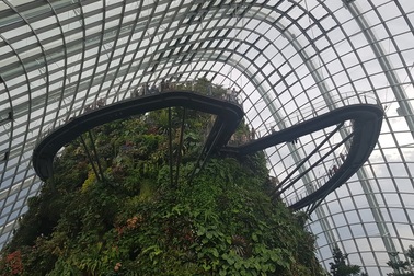 Du khách mê mẩn với "khu vườn trên mây" ở Singapore