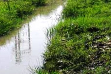 Đi tìm mẹ, bé trai 3 tuổi rơi xuống mương nước