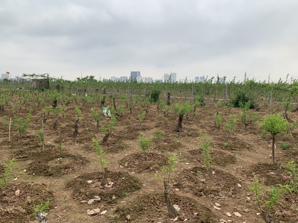 Giá đất 2 bờ sông Hồng bứt tốc tăng 10 lần đón đầu quy hoạch đô thị mới - 2 Giá đất 2 bờ sông Hồng bứt tốc tăng 10 lần đón đầu quy hoạch đô thị mới - 2