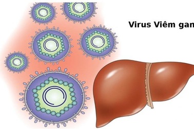 Hai loại virus đe dọa ung thư gan