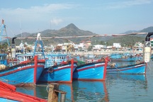 Bất chấp Trung Quốc ngang ngược, ngư dân quyết vươn khơi bám biển