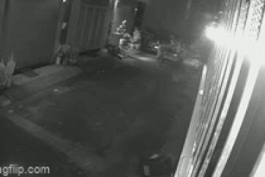 Táo tợn lái xe ba gác đi trộm mai trong khu dân cư ở TPHCM