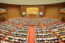 Tăng cường công tác xây dựng pháp luật, hoàn thiện các dự án Luật trình Quốc hội