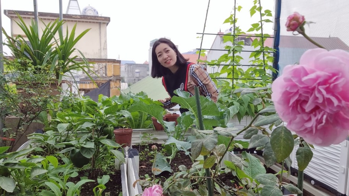 Nữ doanh nhân làm nông dân sân thượng sở hữu vườn rau vạn người mê - 1 Nữ doanh nhân làm nông dân sân thượng sở hữu vườn rau vạn người mê - 1
