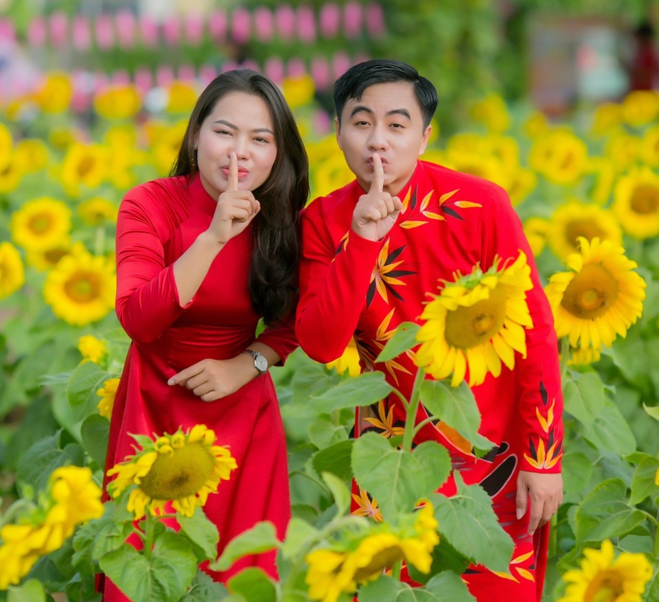 Bỏ việc công ty, chàng trai 9x khởi nghiệp với cánh đồng hoa mặt trời - 2 Bỏ việc công ty, chàng trai 9x khởi nghiệp với cánh đồng hoa mặt trời - 2