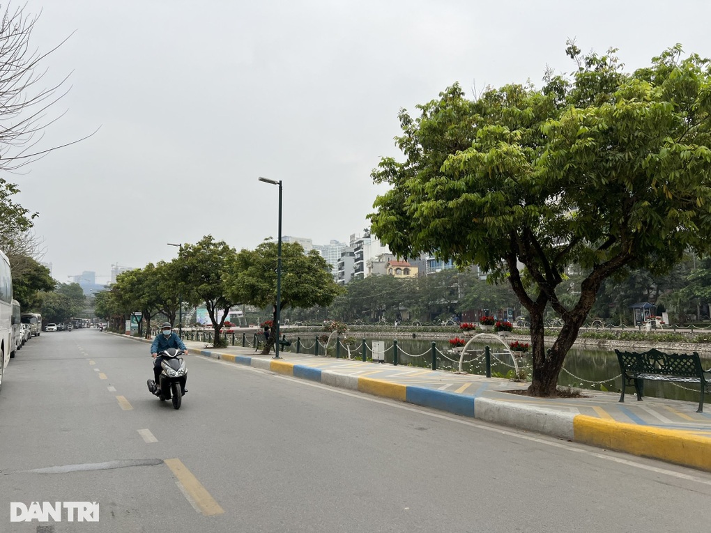 Hà Nội: Đề xuất trồng mới 55 cây giáng hương ở khu phố đi bộ Trịnh Công Sơn - 2 Hà Nội: Đề xuất trồng mới 55 cây giáng hương ở khu phố đi bộ Trịnh Công Sơn - 2