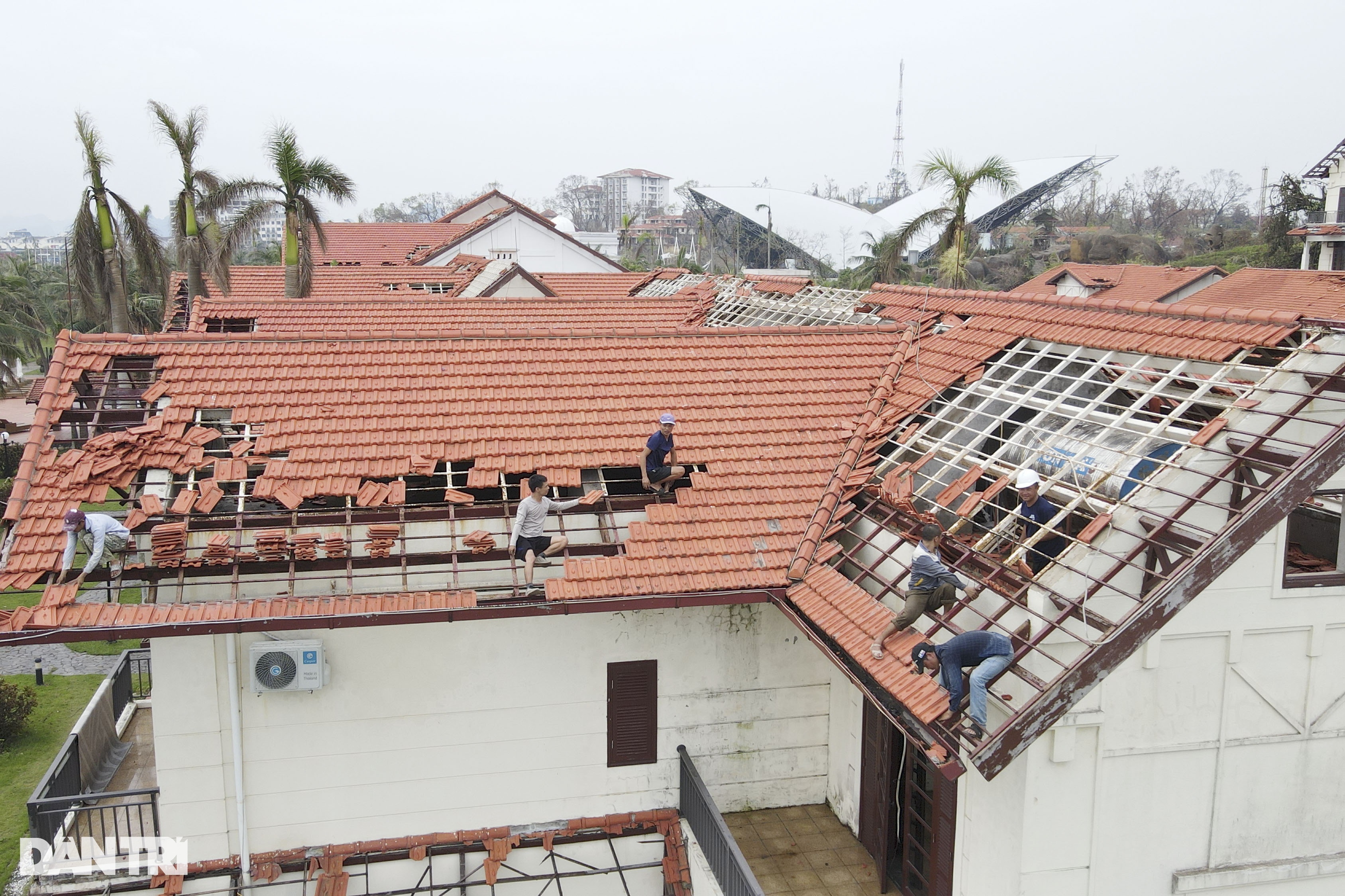 View - Sân khấu biểu diễn cá heo ở Tuần Châu - Hạ Long tan tác sau bão Yagi | Báo Dân trí