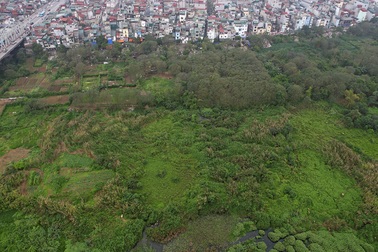 Tận dụng vẻ đẹp hoang sơ bãi giữa sông Hồng làm công viên