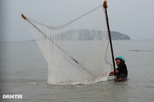 Kiếm nửa triệu đồng mỗi buổi nhờ nghề tranh thủ khi biển động