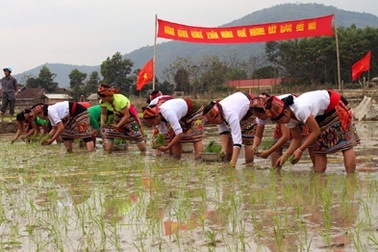 Nghệ An: Khắp nơi tưng bừng lễ hội xuống đồng