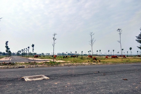 Hà Nội: Giá đất tại 4 huyện “nhảy múa”, có nên tin?